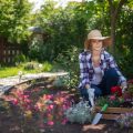 Understanding the Limits of Over-the-Counter Pesticides in the UK: When Professionals Do It Better