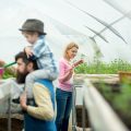 Planning and Constructing Raised Vegetable Beds for the UK Climate
