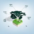 Comprehensive Guide to Managing Humidity Levels in British Greenhouses and Polytunnels