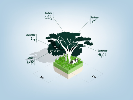 Comprehensive Guide to Managing Humidity Levels in British Greenhouses and Polytunnels