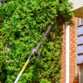 Identifying When Garden Pests Require Professional Intervention: A British Perspective
