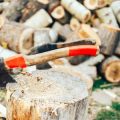 Essential Tools Every British Gardener Needs for Monthly Upkeep