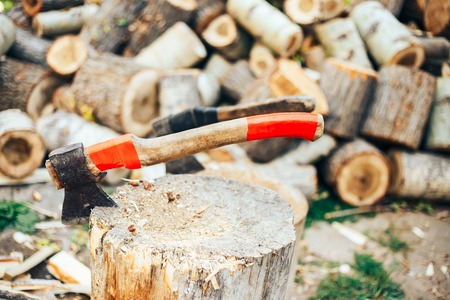 Essential Tools Every British Gardener Needs for Monthly Upkeep