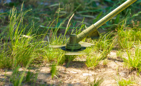 The History and Evolution of the Lawn Mower in British Gardens