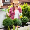 Identifying and Managing Common Fungal Diseases in British Gardens: A Comprehensive Guide