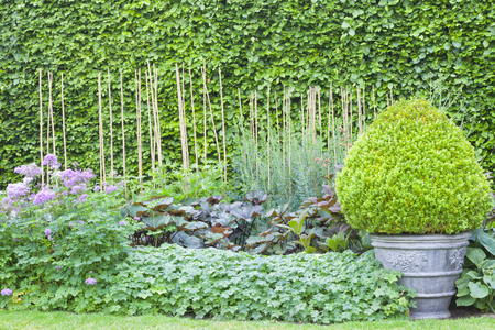 Turning Garden Waste into Gold: Comprehensive Mulching Techniques for UK Gardens