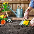 Gardening for Children: Educational Projects around Indoor Seed Starting in the UK