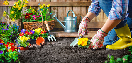 Gardening for Children: Educational Projects around Indoor Seed Starting in the UK