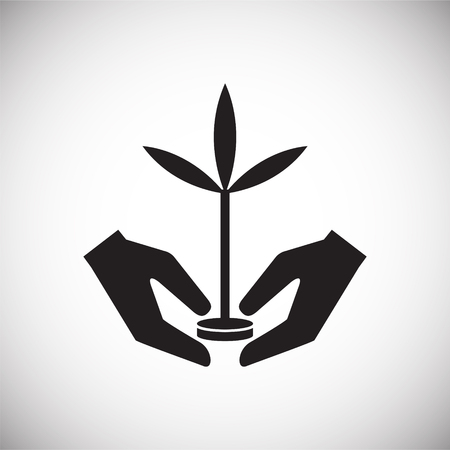 Selecting Plants for Continuous Bloom