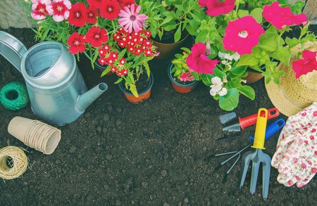 Seasonal Composting Tips for British Allotment Growers