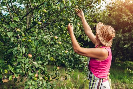 Common Mistakes in Allotment Crop Rotation and How to Avoid Them