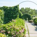 Ideal Greenhouse Positioning in the UK: Maximising Sunlight and Shelter from the Elements