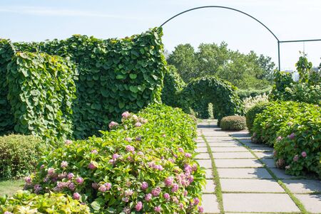 Ideal Greenhouse Positioning in the UK: Maximising Sunlight and Shelter from the Elements