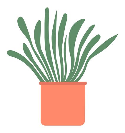 The Role of Humidity in Crop Health and Growth