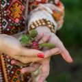 The Science Behind Humidity: How Moisture Influences Crop Health in British Greenhouses