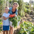 Organic Fungicide Sprays for Veggie Patches: Recipes and Tips for UK Growers
