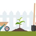 A Comprehensive Guide to Getting Started with Your First Allotment in the UK
