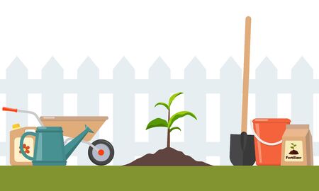 A Comprehensive Guide to Getting Started with Your First Allotment in the UK