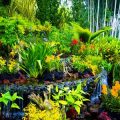 Aesthetic Borders: Integrating Planters into Traditional Lawn and Hedge Designs