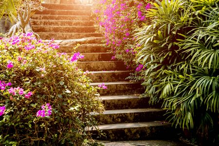 The History and Heritage of Spring Bulbs in British Gardens