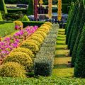 Design Principles for Creating an Authentic English Cottage Garden