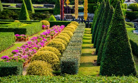 Design Principles for Creating an Authentic English Cottage Garden