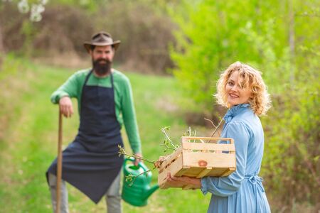 A Comprehensive Guide to Composting on Your Allotment: From Start to Finish