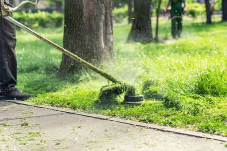 How to Maintain a Petrol Lawn Mower: A British Homeowner’s Complete Maintenance Checklist