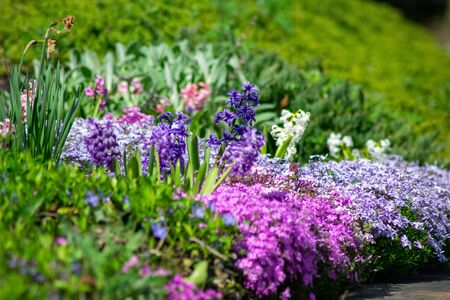 How to Attract British Garden Wildlife Without Creating a Pest Problem