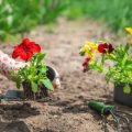 How to Prepare Your Garden for Each Season: A Month-by-Month Guide