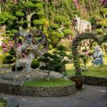 Ornamental Plants That Thrive in UK Greenhouses Throughout the Year