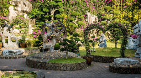 Ornamental Plants That Thrive in UK Greenhouses Throughout the Year