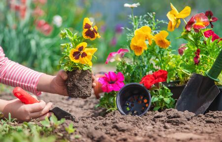 Reducing, Reusing, and Recycling: The Circular Journey of Garden Waste in Britain