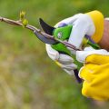 Personal Protective Equipment: What to Wear When Using Garden Tools and Equipment