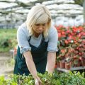 A Comprehensive Guide to Year-Round Greenhouse Growing in the UK Climate