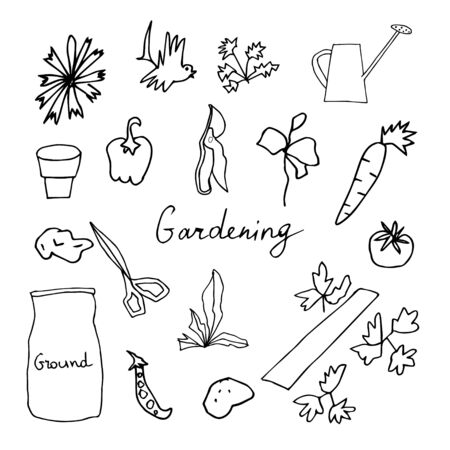 Planting Techniques and Layout