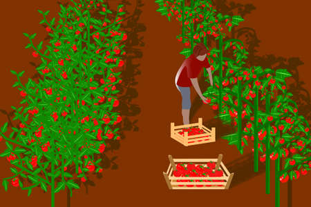 Sowing Methods and Techniques for Successful Germination in Greenhouse and Polytunnel Settings