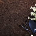 Maximising Space: Clever Layouts for Small Terraced Gardens in the UK