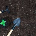 Seasonal Timing: When to Start Seeds Indoors for Year-Round Harvests in the UK