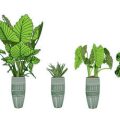Best Herbs for British Containers: Selection, Care, and Harvesting Tips