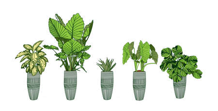 Best Herbs for British Containers: Selection, Care, and Harvesting Tips