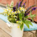 Seasonal Planting Plans: Ensuring Year-Round Food Sources for Pollinators in the UK