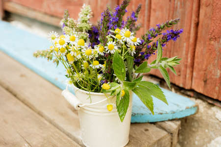 Seasonal Planting Plans: Ensuring Year-Round Food Sources for Pollinators in the UK