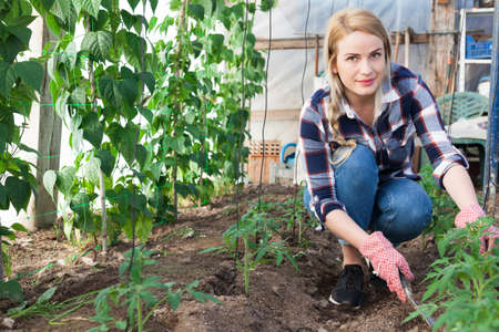 A Comprehensive Comparison of Polytunnels and Traditional Greenhouses in the UK Climate