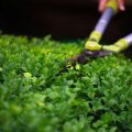 Sharpening Lawn Mower Blades: A Step-by-Step Maintenance Guide Using British Methods and Products