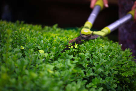 Sharpening Lawn Mower Blades: A Step-by-Step Maintenance Guide Using British Methods and Products