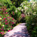 Blending Formal and Informal Styles: Modern British Garden Trends