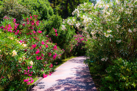 Blending Formal and Informal Styles: Modern British Garden Trends