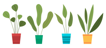 Planning and Preparing Your Garden Space