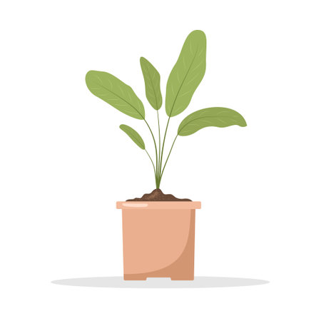 Planting and Sowing: Step-by-Step Guidance